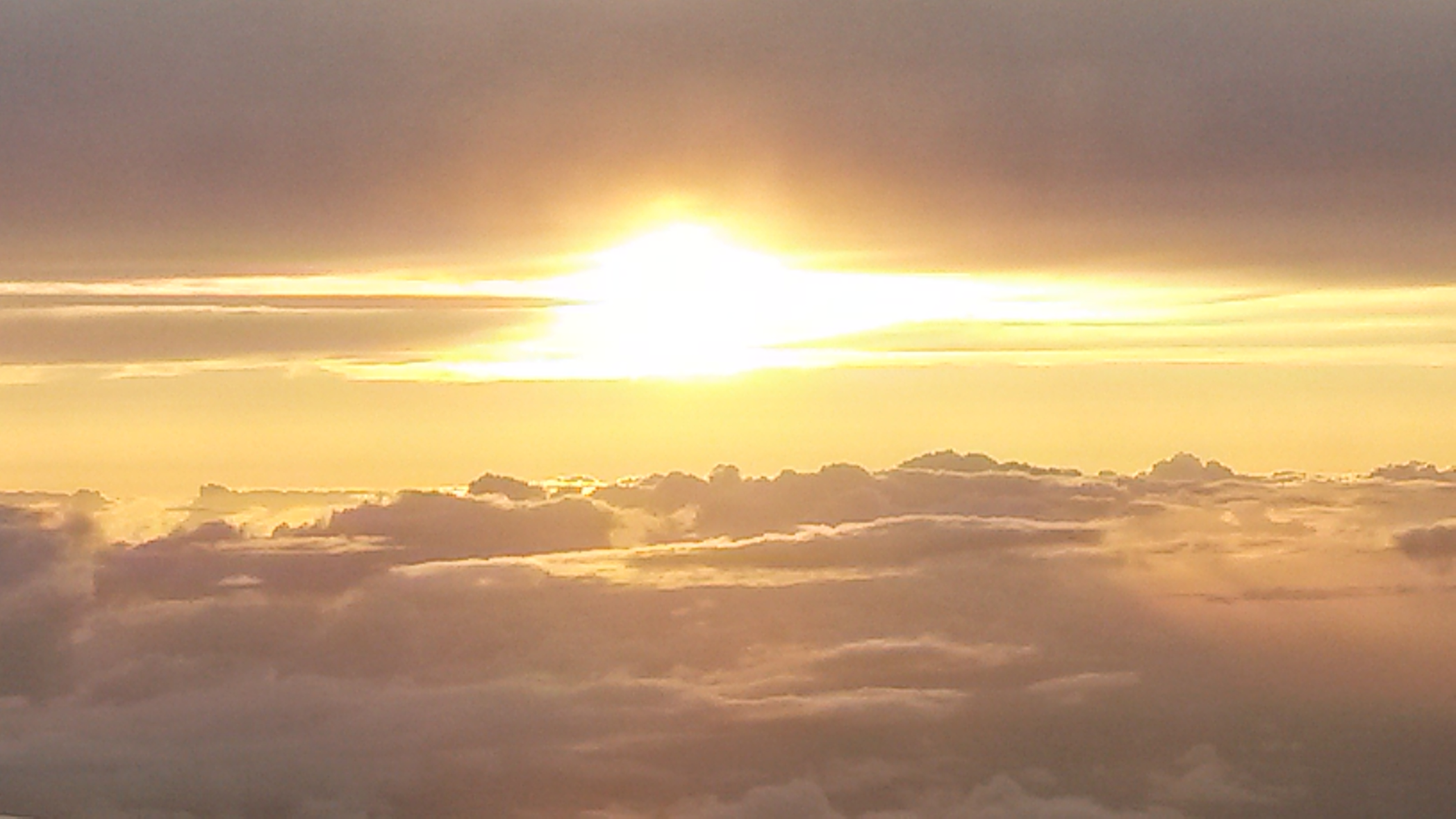 Der Blick &uuml;ber die Schulmedizin &ouml;ffnet Horizonte