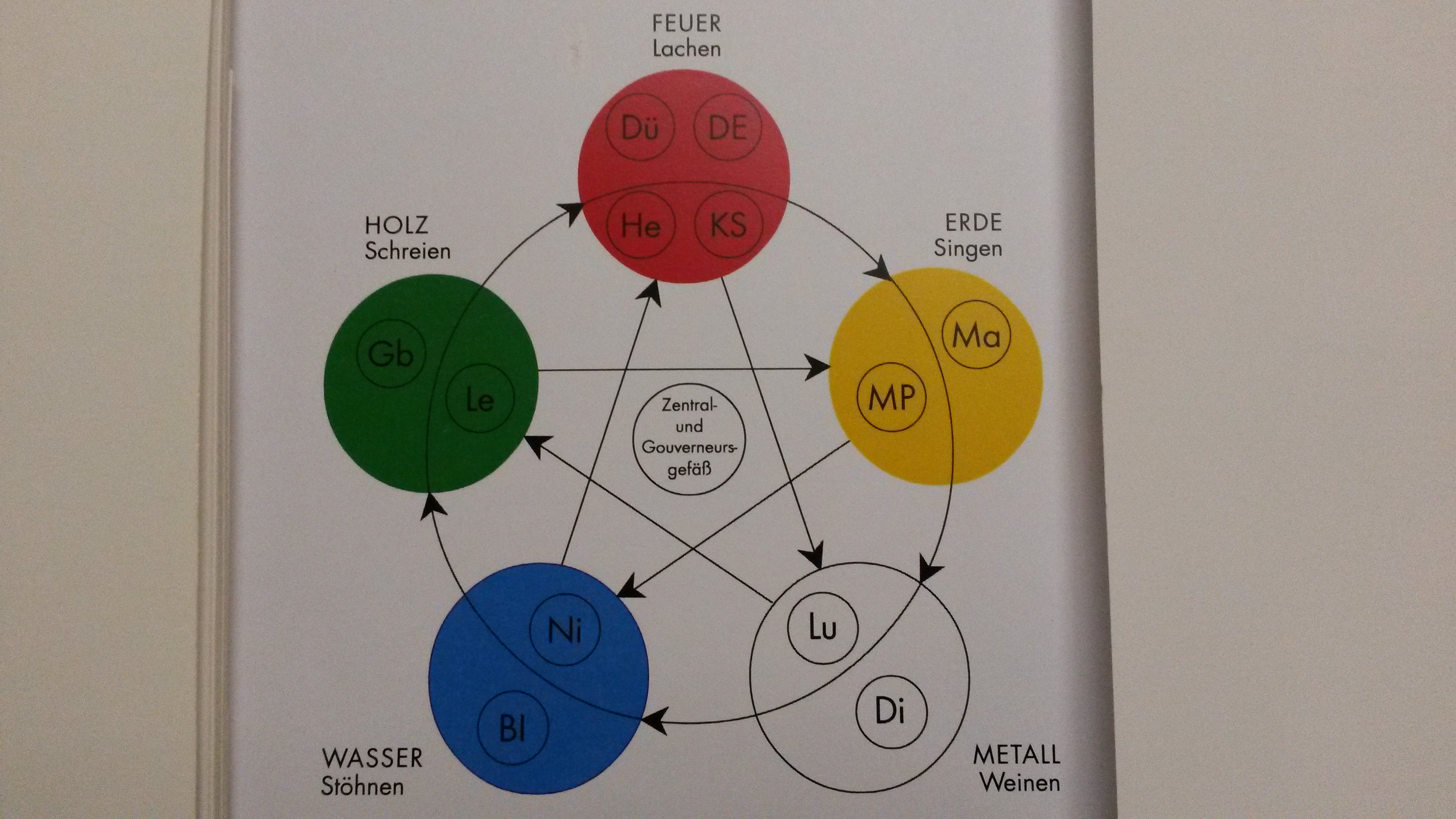 Die 5 Elemente (TCM) mit den Organbeziehungen